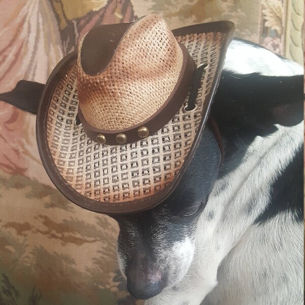 Cowboys  hat for dog or cat