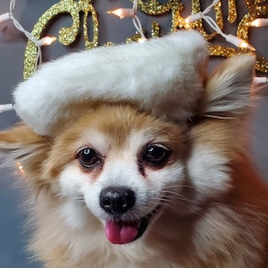 Beret  hat white color  for dog or cat  Small animal Doll