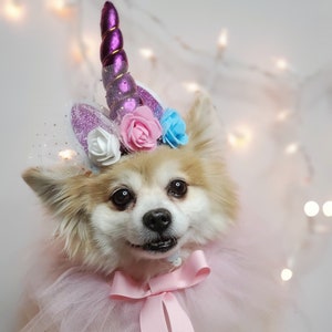 Set hat and collar /Pet  unicorn hat  for dog or cat/Halloween dog costume/