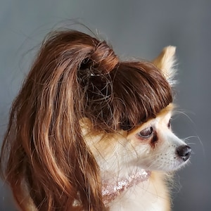 Pet   wig  brown color  for dog or cat / Pony tail wig / Halloween dog wig /