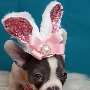 Set for your pet Easter Bunny hat  and bow set for dog or cat /Dog costume/