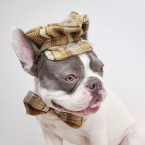 Set cap and bow tie / Cap for your pet/Hat  for dog or cat /