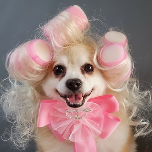 Blond wig for pet / Halloween wig for dog / Fan wig for pet /  Pet costume/Costume for dogs/ Costume for cats /