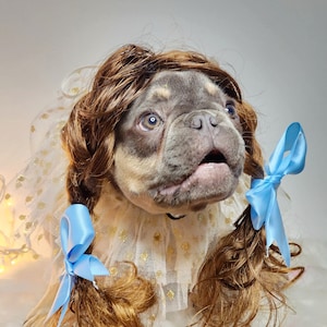 The Wizard of Oz Dorothy Brown color pet wig/Dorothy dog wig/Dog costume /