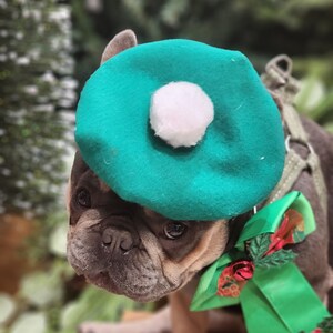 Christmas Beret  hat green color  for dog or cat /Hat for dogs/Beret for dogs /