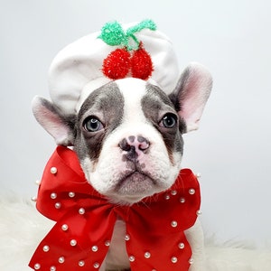 White color  Beret   hat   for dog or cat  Small animal Doll  /Beret for cat/ Beret for dogs /