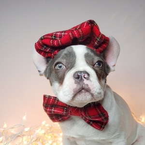 犬や猫用のベレー帽とリボンのセット/小動物人形