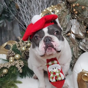 犬や猫用のネクタイ付きベレー帽（赤色） /犬用帽子/犬用ベレー帽/