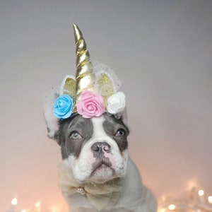 Pet  unicorn hat  for dog or cat/Halloween dog costume/