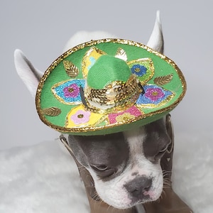 Cute sombrero hat    for dog or cat / Costume for dogs / Halloween dog costume /