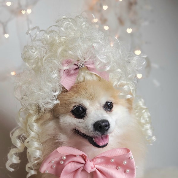 Pet  Marie Antoinette   wig blond  color  for dog / Halloween pet wig / Costume wig  for dogs /Dog costume #