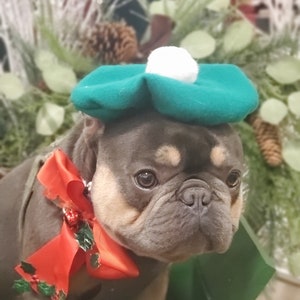 Christmas Beret  hat green color  for dog or cat /Hat for dogs/Beret for dogs /