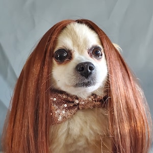 Long dog wig discount