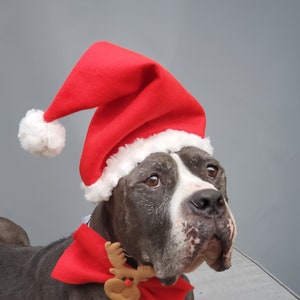 Dog santa hat with ear holes online