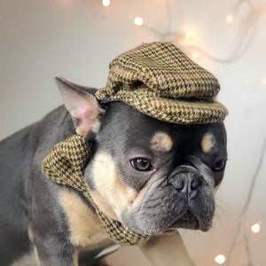 Set cap and bow tie / Cap for your pet/Hat  for dog or cat /