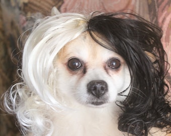 Cruella Deville   wig black and white color  for dog or cat  / Halloween dog wig / Halloween cat wig /Pet wig /Cruella Devil Wig/