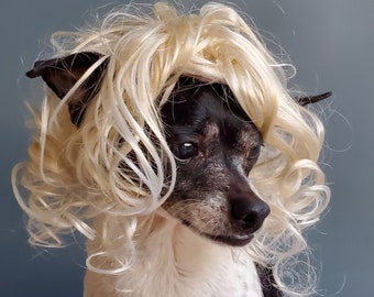 Pet   wig  blond     color  for dog or cat / Dog costume / Cat costume / Halloween costume for pet/
