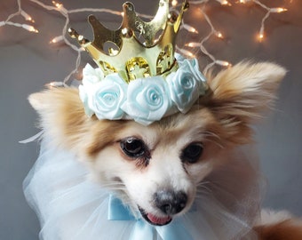 Set Listing Gold color crown   with  blue collar tie for dog or cat /Princess set /