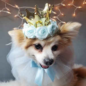 Set Listing Gold color crown   with  blue collar tie for dog or cat /Princess set /