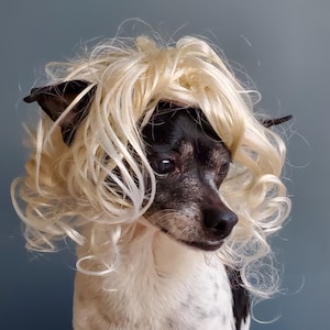 Pet   wig  blond     color  for dog or cat / Dog costume / Cat costume / Halloween costume for pet/