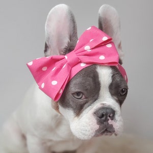 Headband  for dog or cat /headband for dogs/Pet gift/