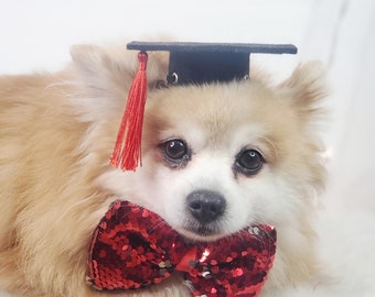 Black color Graduation pet hat  for small size dogs/   Graduation dog hat/