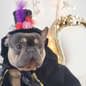 ペット用ヴァンパイアコスチューム/ケープ付きブラックカラーハロウィンハット/犬用コスチューム/ハロウィンコスチューム/フレンチブルドッグ用ハロウィンコスチューム/