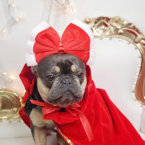 Christmas headband for pets /   Dog costume/Christmas petcostume/