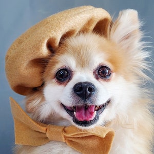 Set  2 pieces Beret  hat  cream  color with bow  neck tie  for dog or cat