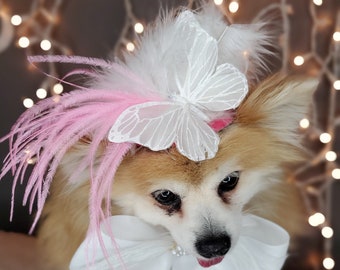 Elegant hat with   feather and   butterfly for dog or cat /Hat for small pet /Costume for dogs/