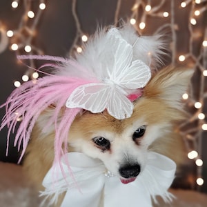 Elegant hat with   feather and   butterfly for dog or cat /Hat for small pet /Costume for dogs/