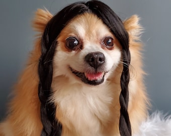 Wednesday wig for pet/  Cute pet braided   wig black color  for dog or cat /Halloween dog wig / Costume dog wig /Dog costume/