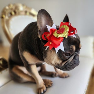 Headband  for dog or cat /headband for dogs/Pet gift/