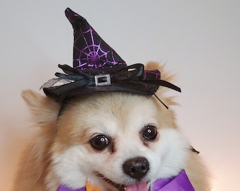 Hexenhut für Hund/ Schwarze Halloween Mütze mit Fliege/Hundekostüm/Halloweenkostüm/Katzen Halloween Kostüm/