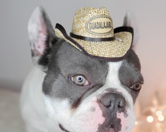 Cowboys  hat   for dog or cat/Halloween costume/Costume for  dogs /