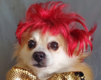dog with red wig