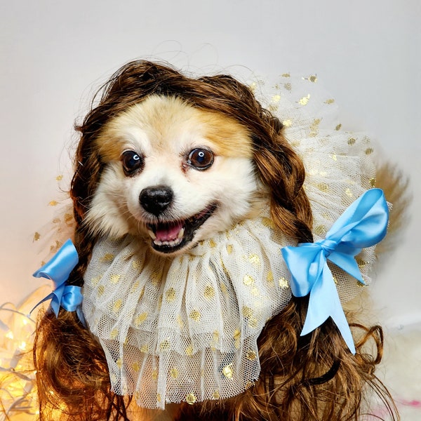 The Wizard of Oz Dorothy Brown color pet wig/Dorothy dog wig/