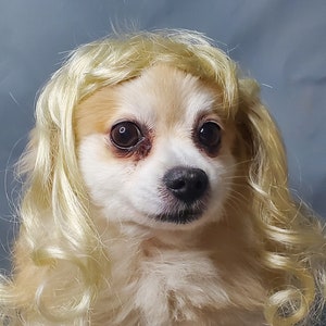 Mullet baby wig top