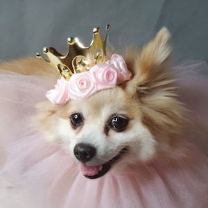 Set Listing Gold color crown   with pink collar tie for dog or cat /Princess set /