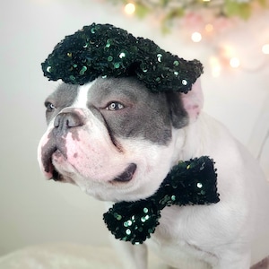 Set listing /Beret  hat   for dog or cat /Hat for dogs/Beret for dogs /
