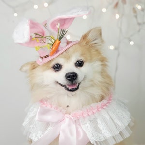 Easter Bunny hat  and  neck. collar for dog or cat / Dog costume/Pet Halloween costume/
