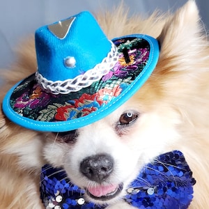 Cowboys  hat   for dog or cat/Halloween costume/Costume for  dogs /
