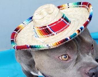 Cute sombrero hat for  large dog/Halloween Sombrero for pet/ Large  dog costume