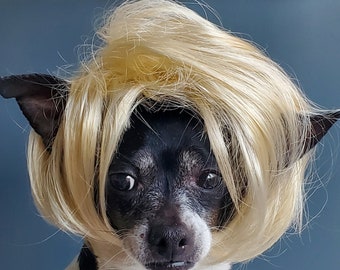 Pet   wig blond  color  for dog or cat/Halloween costume /