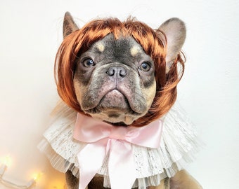 Dog or Cat Wig, Adjustable Pet Costume