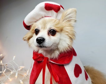 May include: A small dog wearing a white and red heart-patterned cape and chef's hat. The cape is tied with a red bow. The dog has light brown fur and is sitting on a white, fluffy surface.