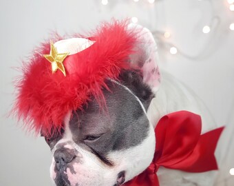 Cowboys hat white  color with pink colorfeather/ Hat for pet  / Small cowboys hat for dog / Cowboys dog costume /