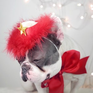 Cowboys hat white  color with pink colorfeather/ Hat for pet  / Small cowboys hat for dog / Cowboys dog costume /