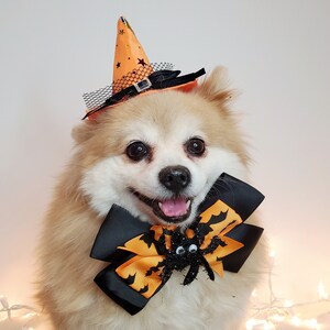 Witch hat for dog/  Halloween hat with bow tie/Dog costume/Halloween  costume/Cat Halloween costume/
