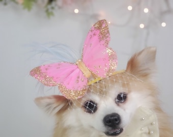 Elegant hat with   feather and   butterfly for dog or cat /Hat for small pet /Costume for dogs/